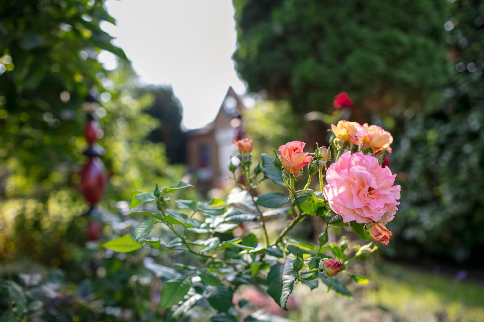 Ferienhaus Jasmin Neuruppin Luaran gambar